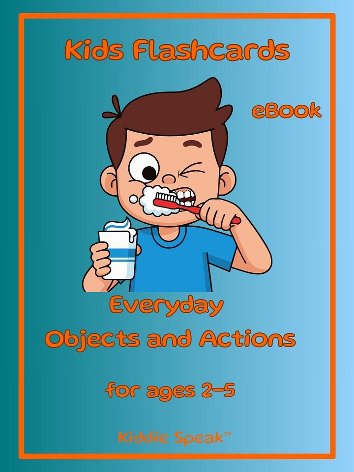 Everyday Objects and Actions Flashcards product image (1)