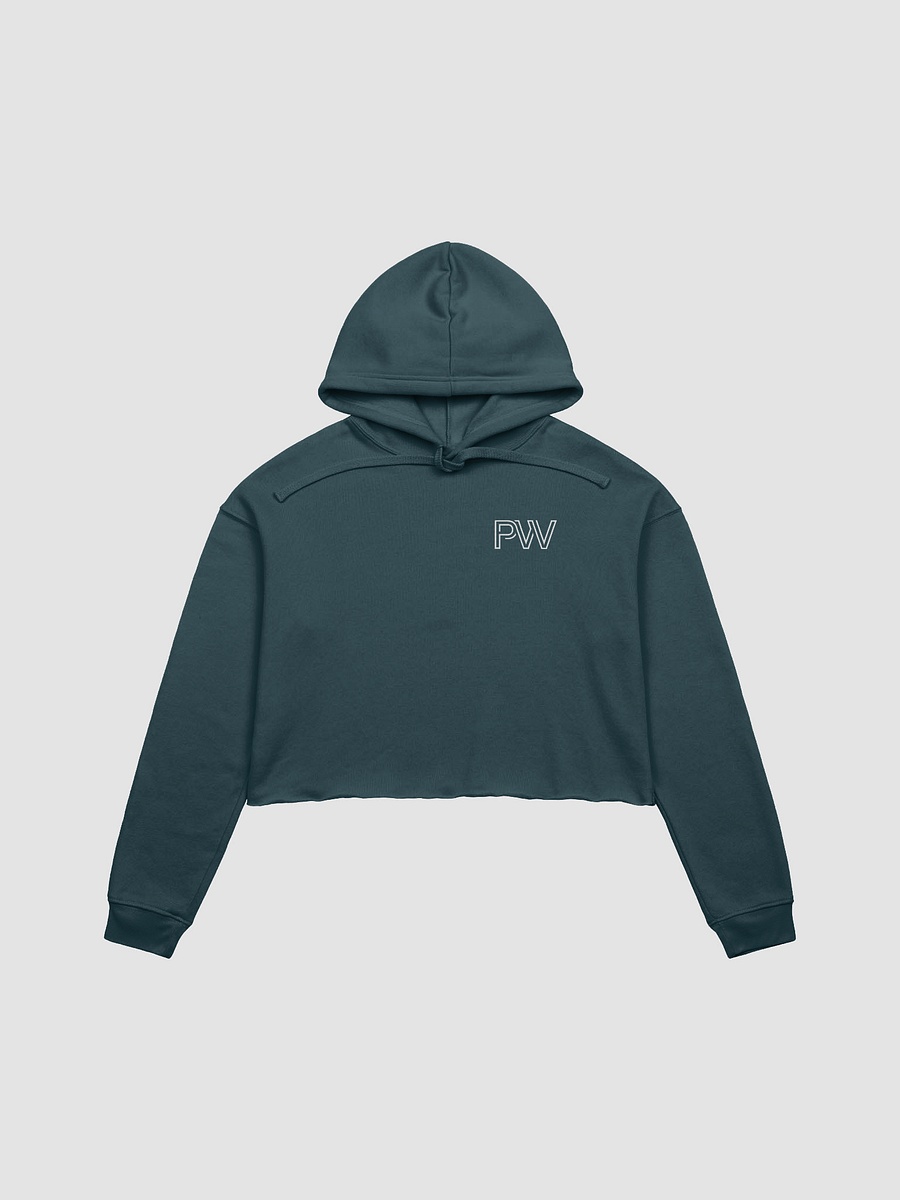 PW & vertical planets cropped hoodie product image (1)
