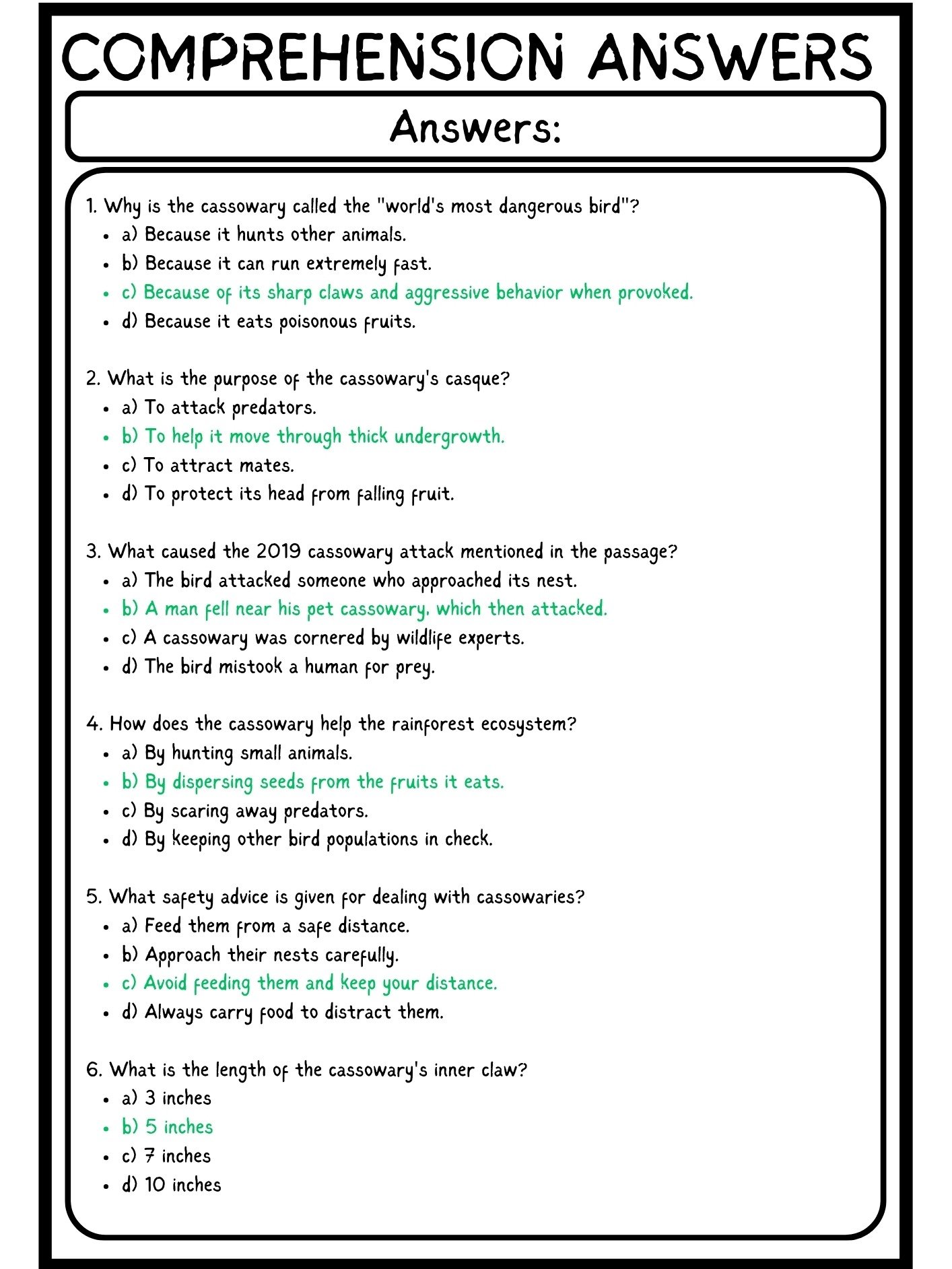 Cassowary Attack Reading Comprehension Passage PDF product image (4)