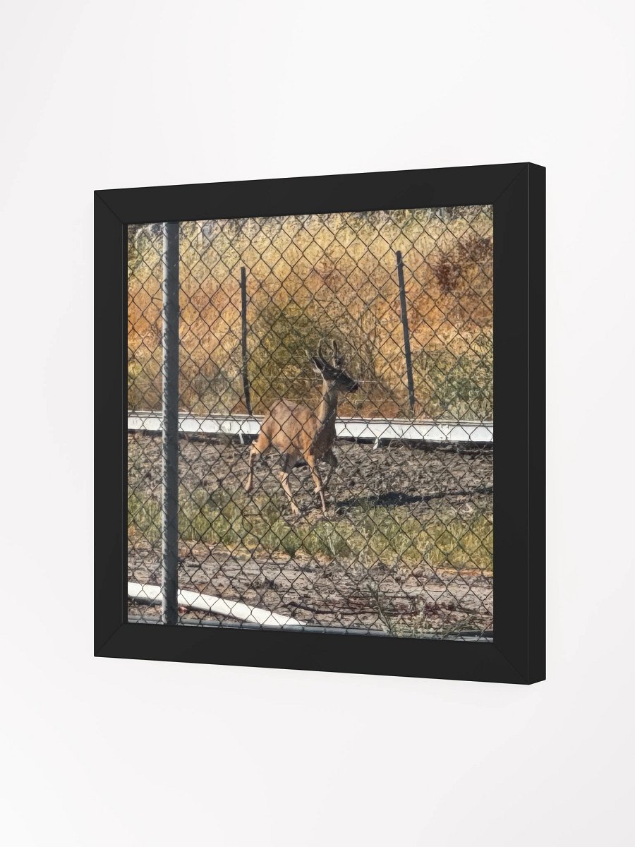 Deer product image (11)