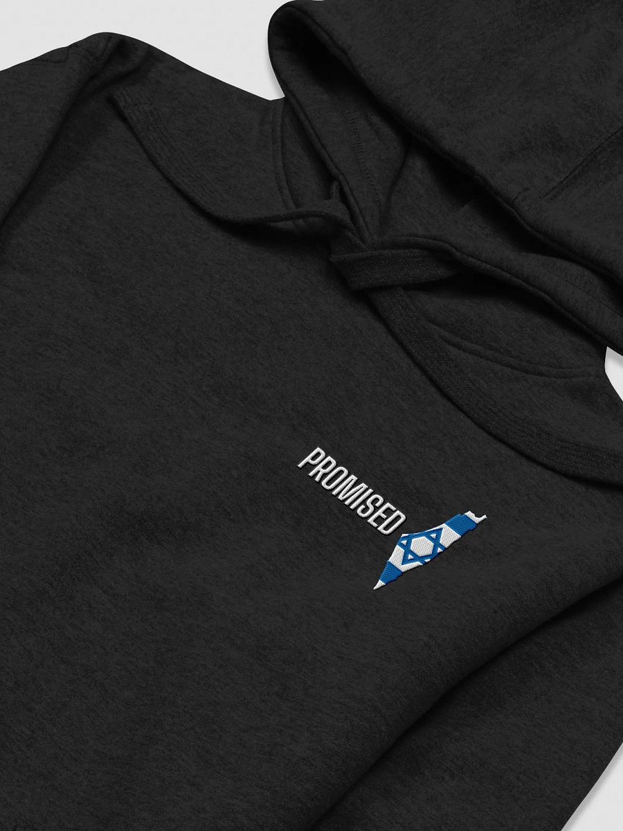 PROMISED Hoodie – Covenant Edition product image (17)