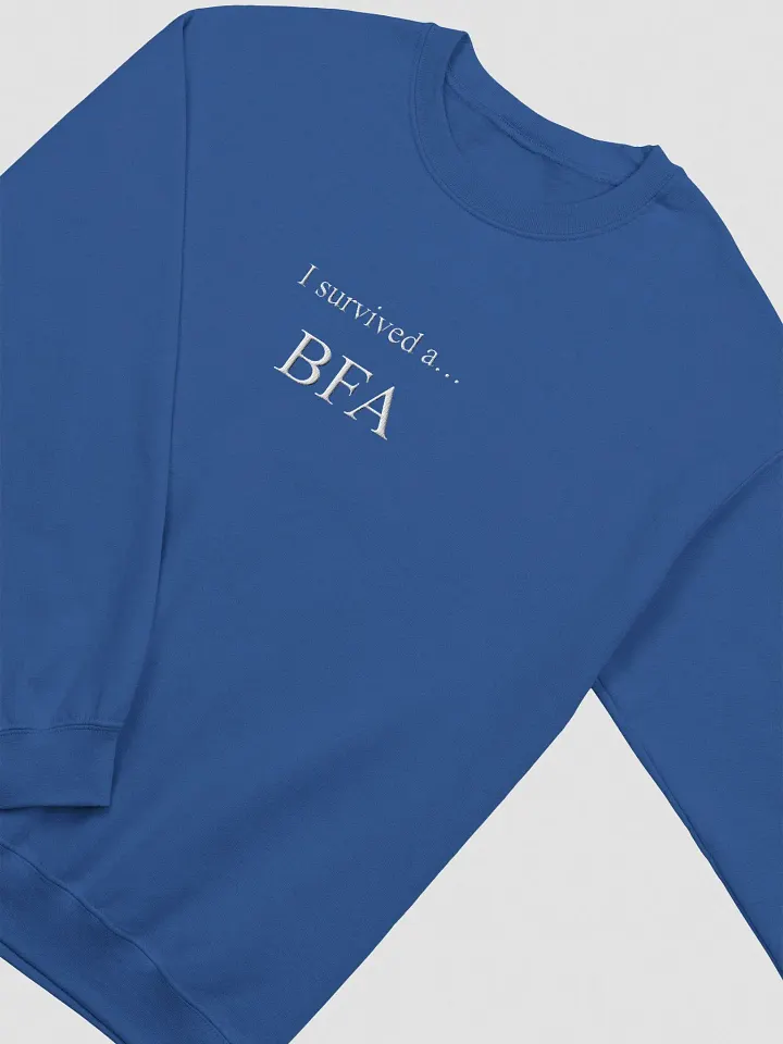 I Survived A BFA Sweater product image (2)