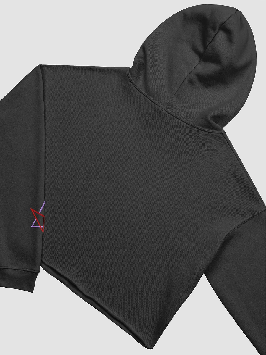 Guru Crop Hoodie product image (4)