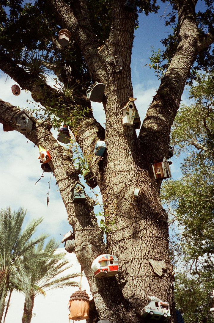 Kitsch Archival Print product image (1)