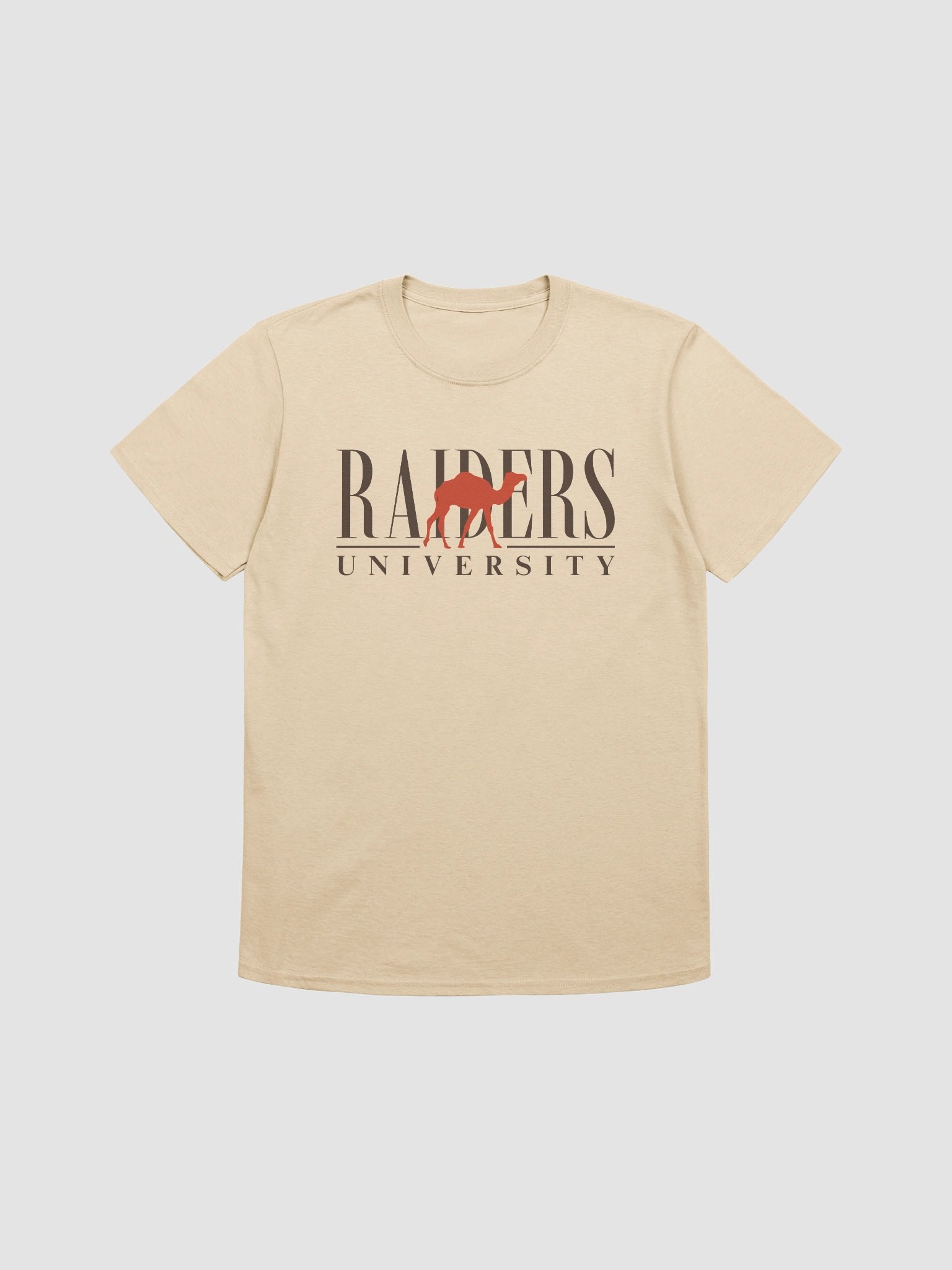 Raiders University Tee product image (1)