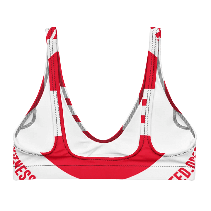 IFBNewsfeed.Org's All-Over Print Recycled Padded Bikini Top product image (1)