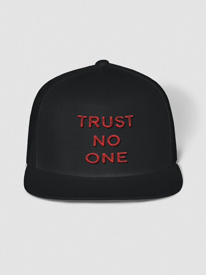 Trust No One Snapback Cap product image (1)