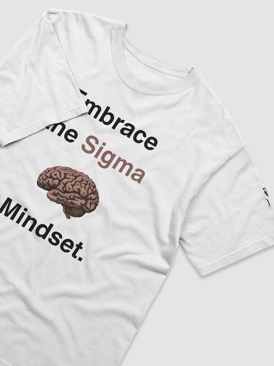 Embrace the Sigma Mindset product image (7)