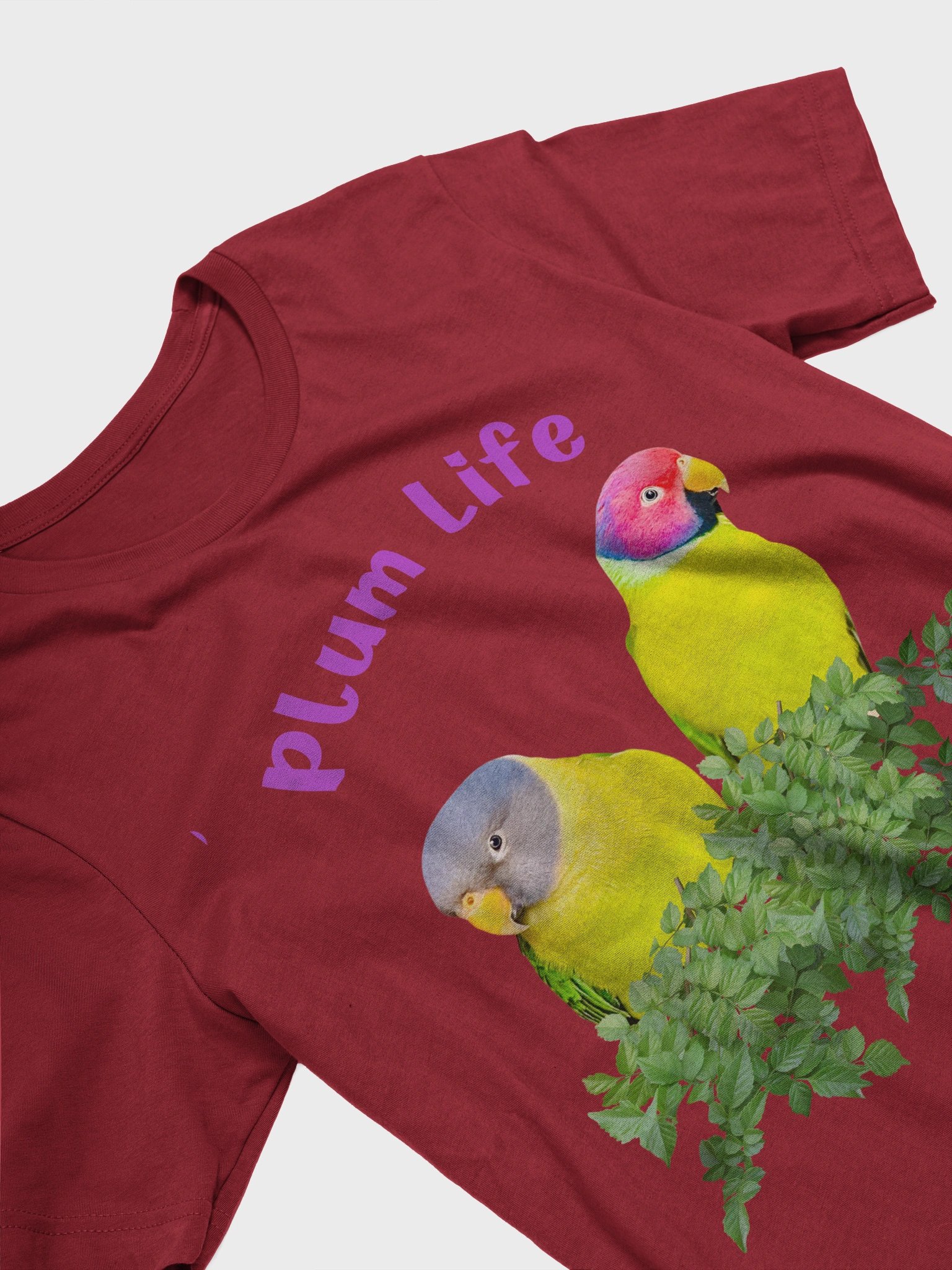 Rainbow Rebels product image (2)