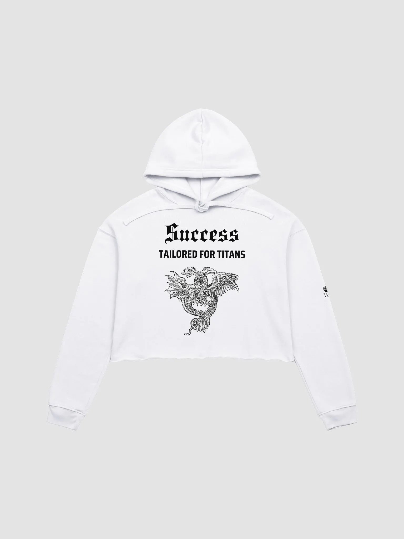 Success Tailored for Titans Cropped Hoodie product image (1)