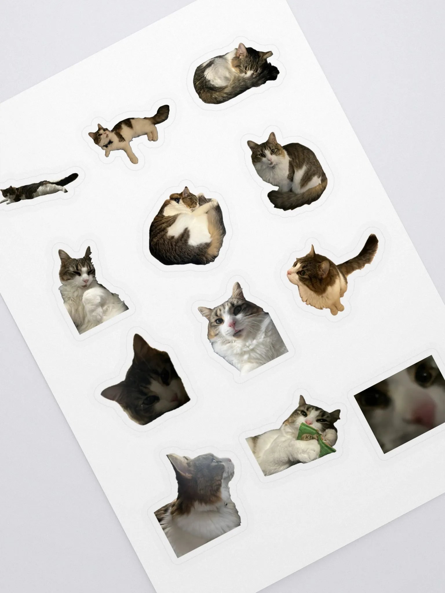 Kiki Sticker Sheet product image (1)