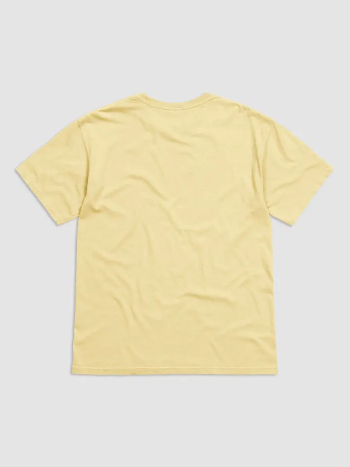 APPLE RANKINGS: RED DELICIOUS APPLE T-SHIRT (Regular Fit) product image (42)
