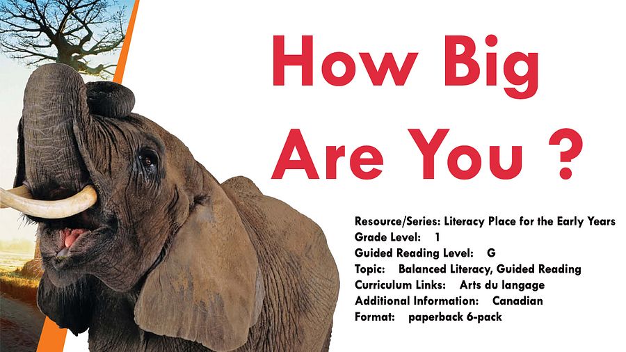 How Big Are You? product image (2)