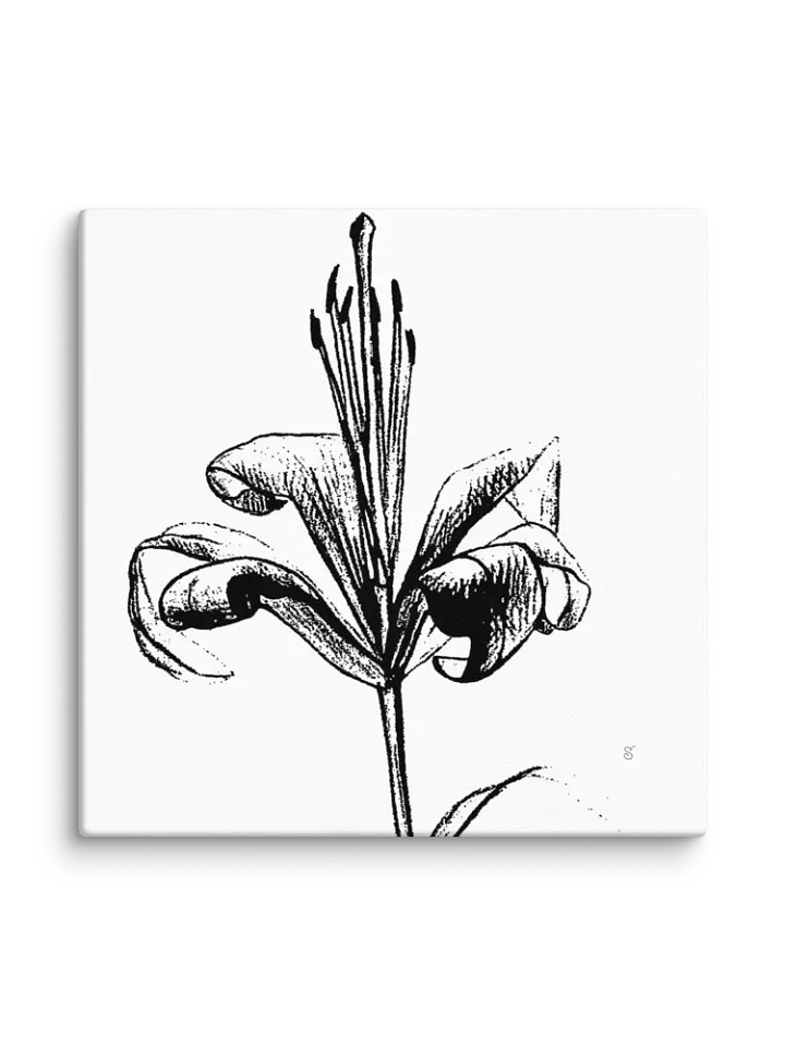 Lily Line Art Canvas Print - Fine Flower Light product image (2)