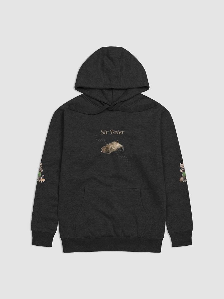 Sir Peter Hoodie product image (8)