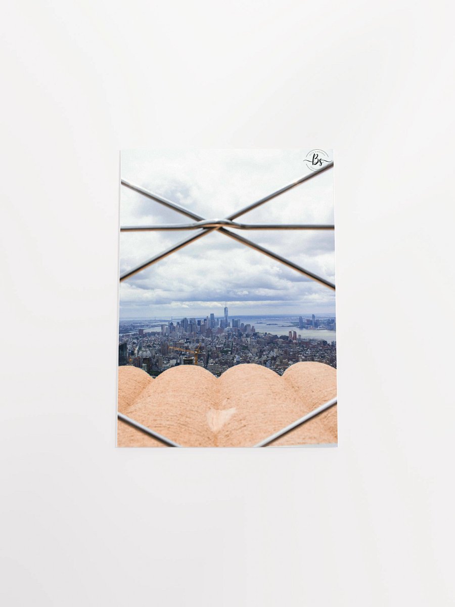 Looking Out product image (4)