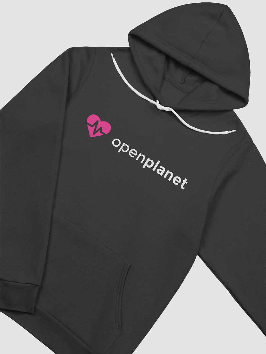 Openplanet Hoodie product image (3)