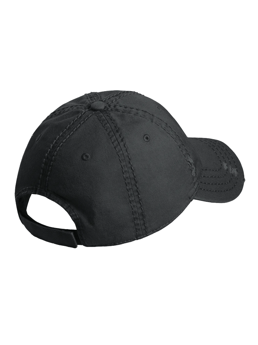 Logo Distressed Dad hat product image (3)