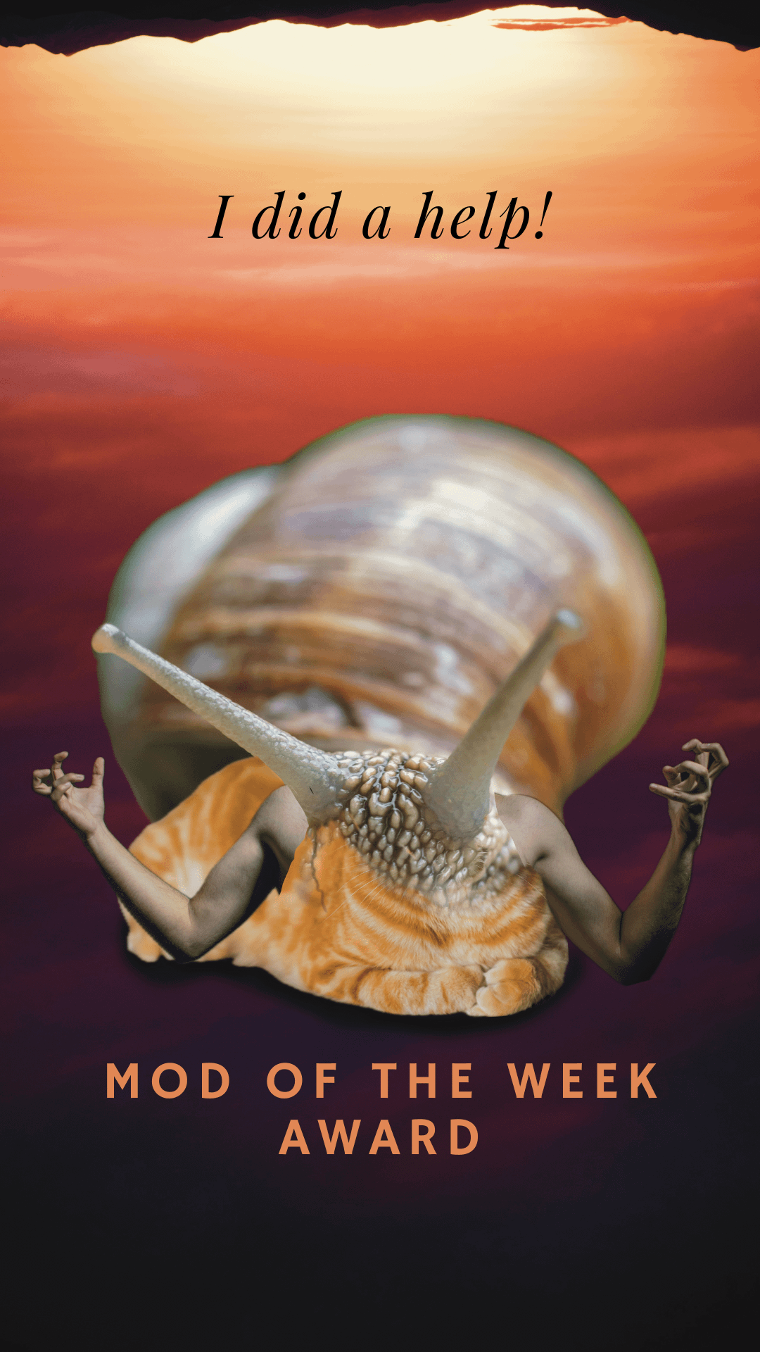 Give Jenny 10 Mod Points product image (1)