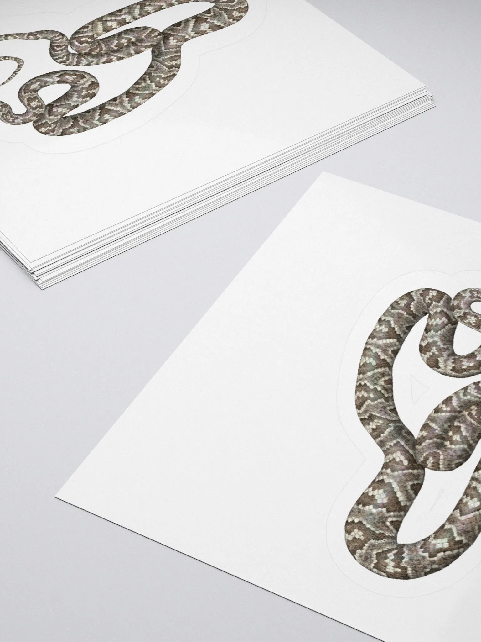 Die-Cut Sticker – Sonoran Lyresnake product image (4)