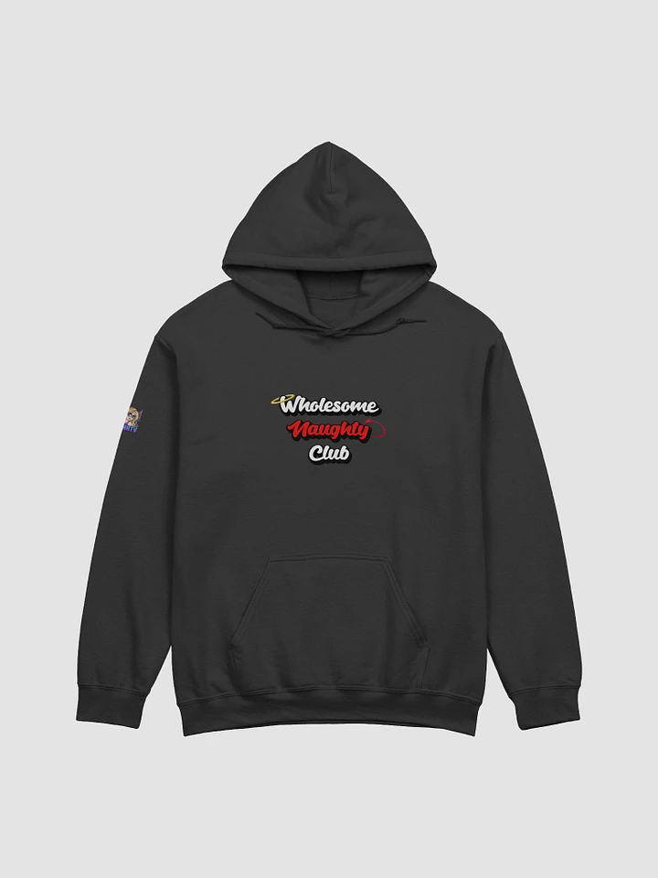 Wholesome Naughty Club Hoodie product image (2)