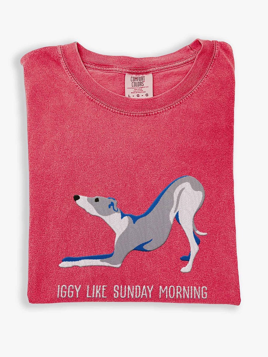 Iggy Like Sunday Morning T-Shirt(Embroidered) of an Italian Greyhound(Blue & White) product image (1)