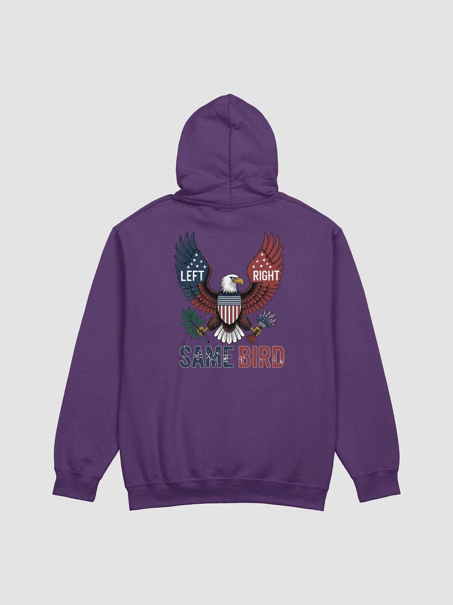Unified Eagle Hoodie - Left, Right, Same Bird | America First product image (2)