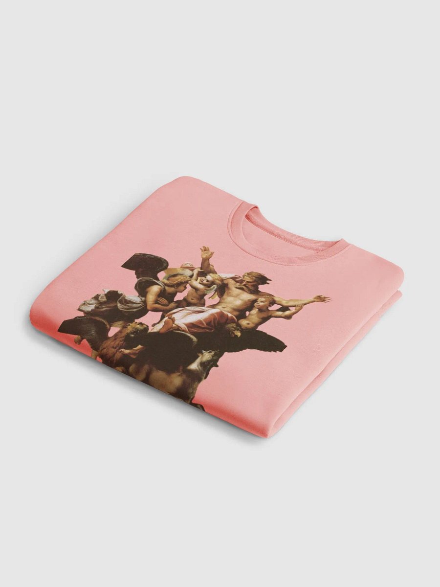 Drillys and Love (Pink Scripture sweater) product image (5)