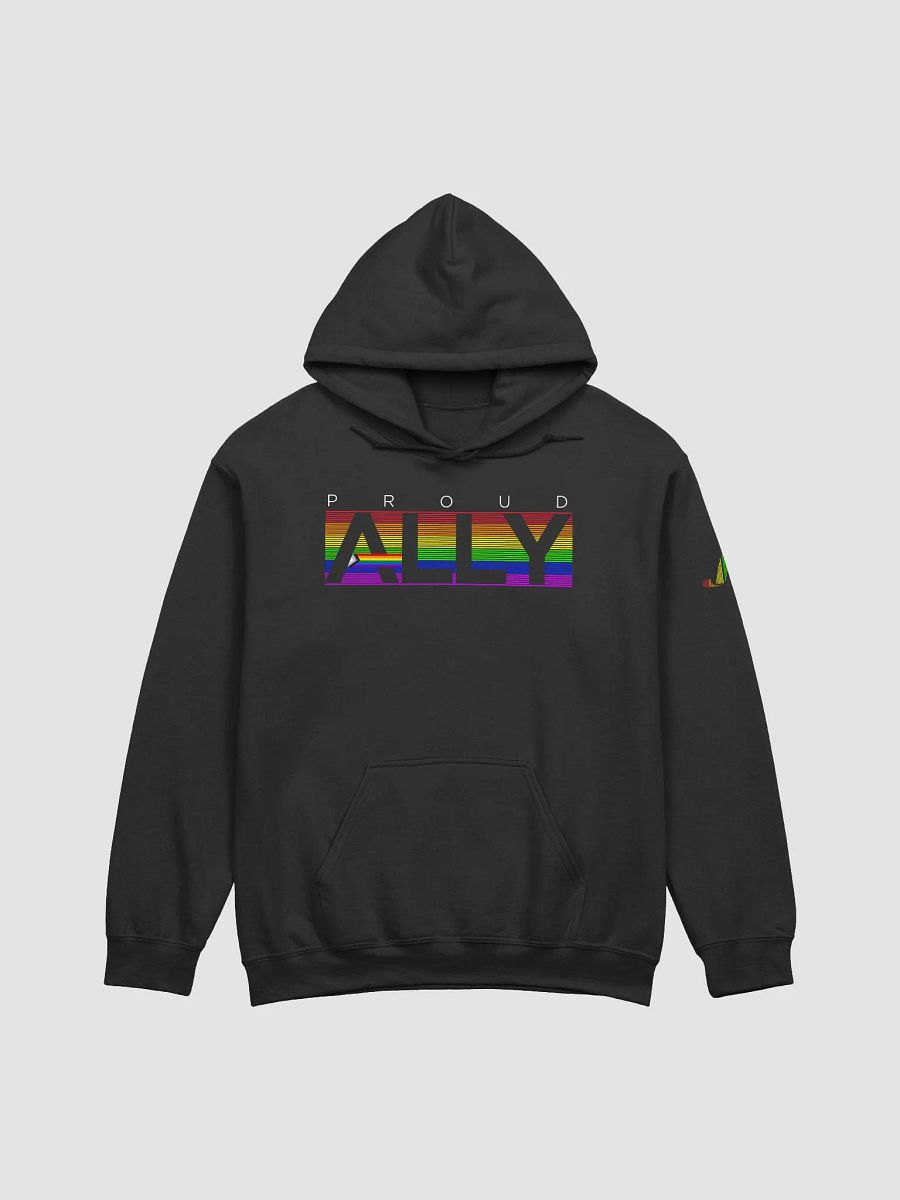 PROUD ALLY Hoodie product image (6)