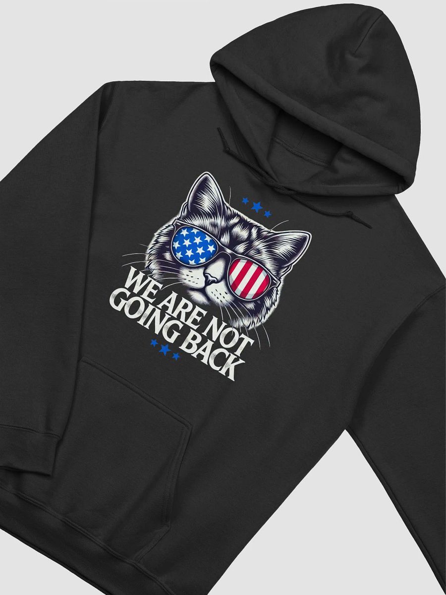 US Election Day 2024 We Are Not Going Back Cat America Flag Hoodie product image (3)