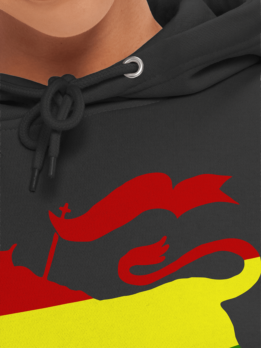 Christafari Lion of Zion Premium Hoodie product image (7)