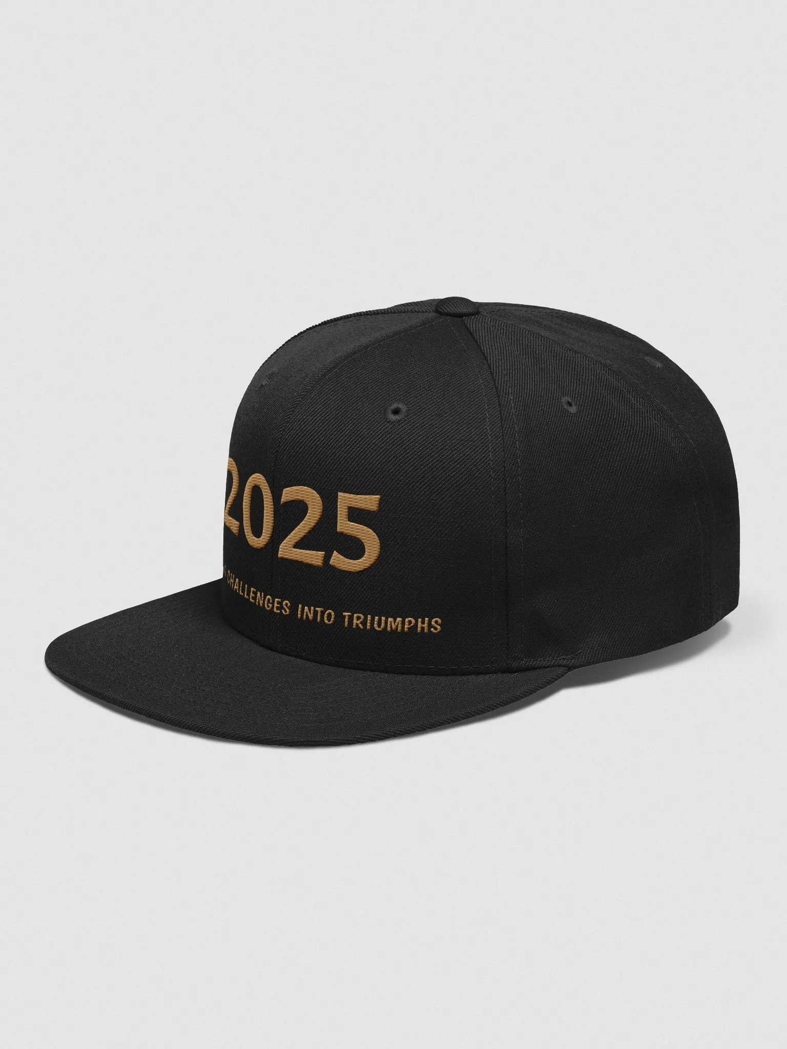 2025 Triumph Snapback Cap product image (19)
