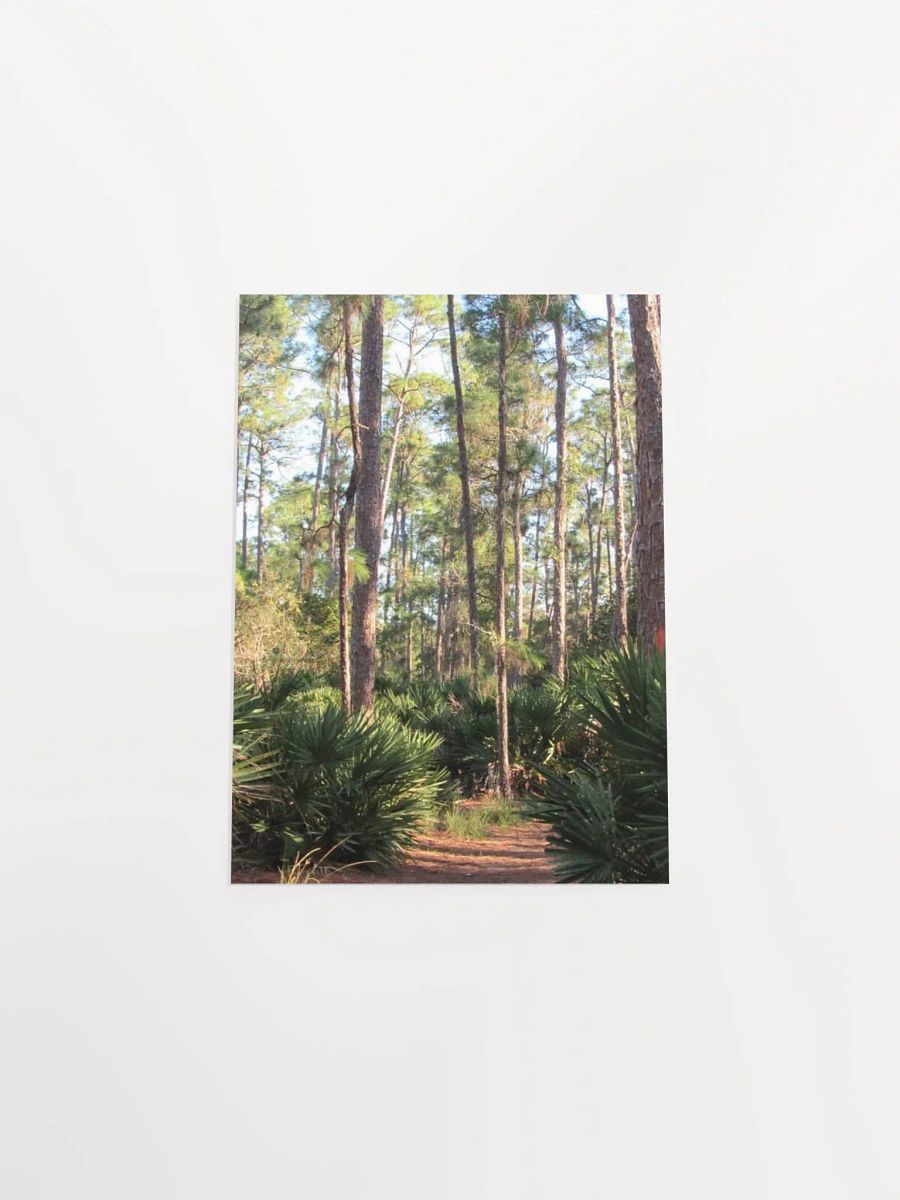 Florida Woods product image (44)