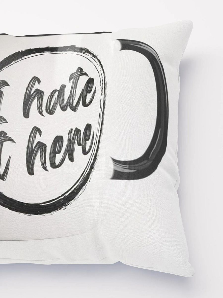 WhyDidYouWantThis Pillow product image (2)