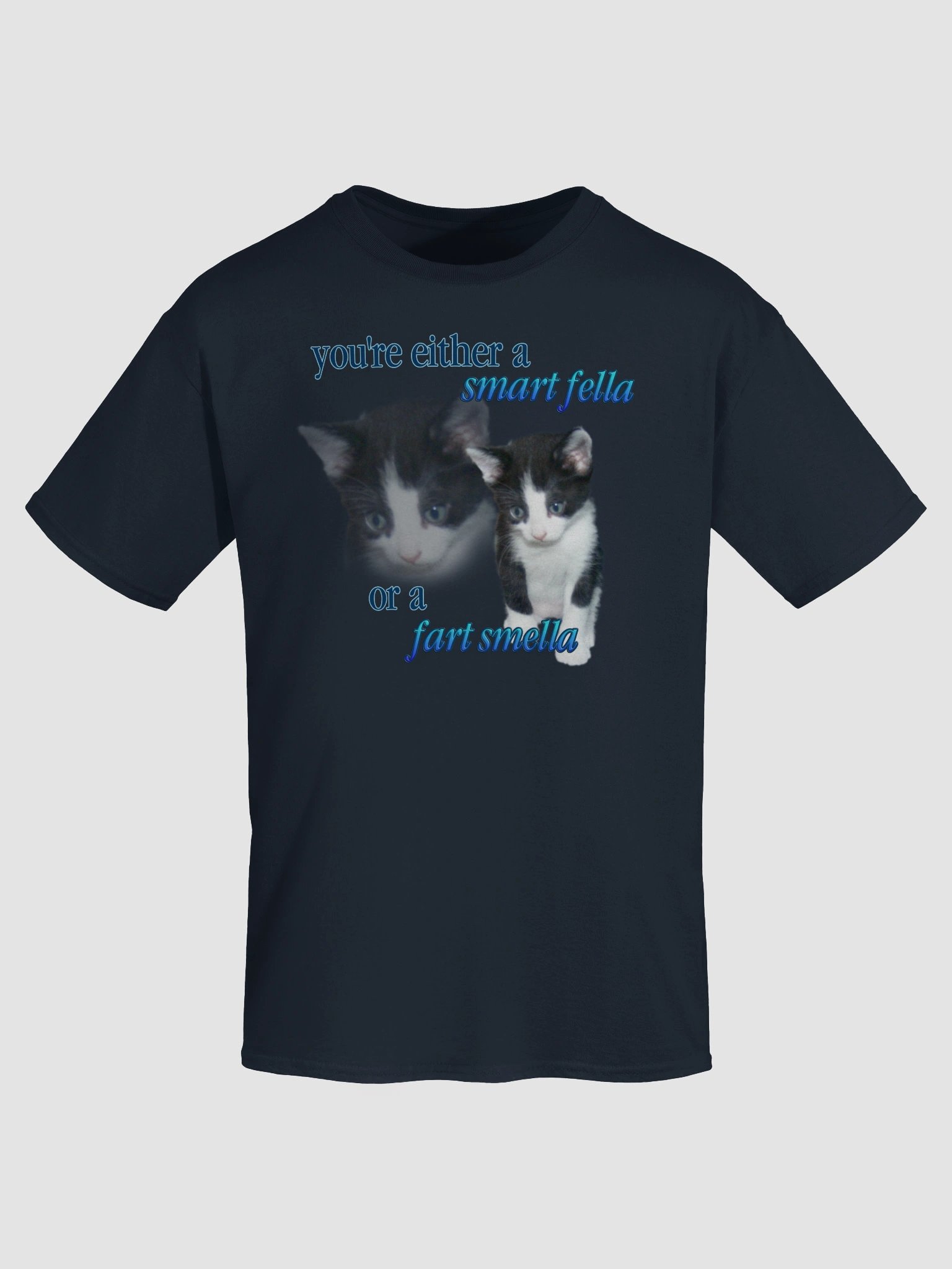 Smart Fella or a Fart Smella - Cat T-shirt product image (91)