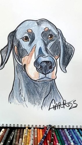 Artists, get ready for gentle roast sessions 🫢

Tier 3 patrons get feedback in monthly critique videos — fun, helpful, and ...