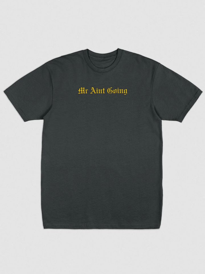 Mr Aint Going HeavyWeight Ebroided Tees Designed by Anopa Silver product image (3)