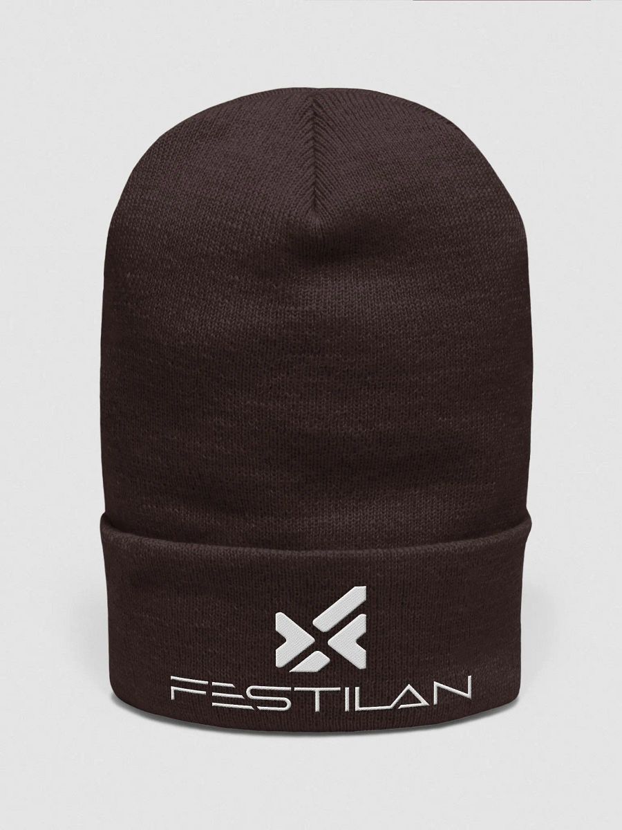 Tuque Festilan product image (1)