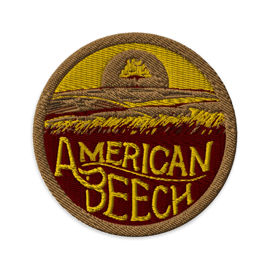 American Beech 