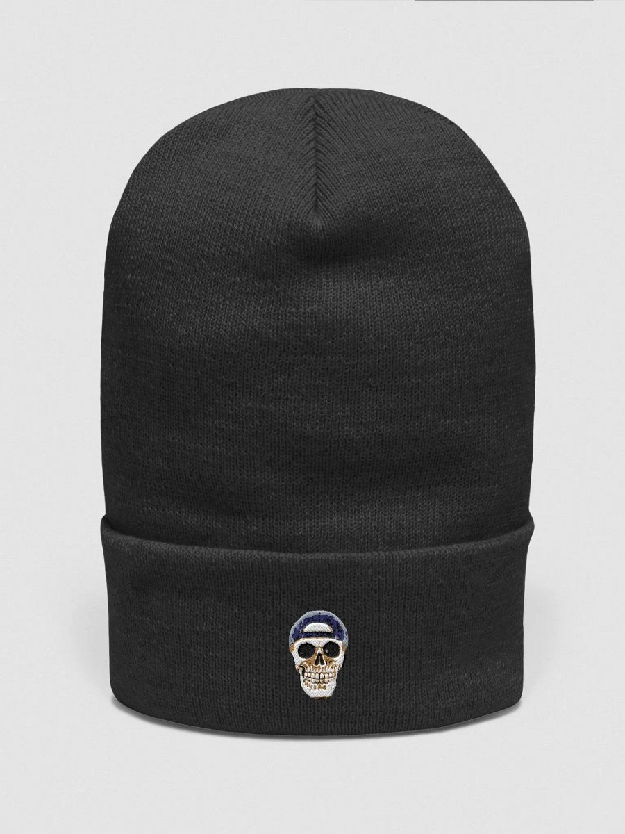 Stinger Skull Wooly Hat product image (1)