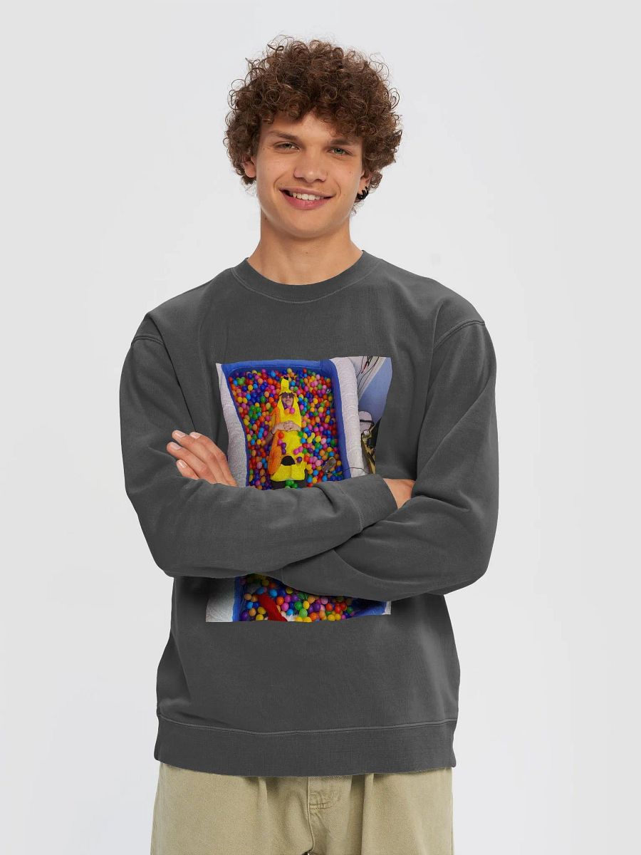 Ball Pit Sweatshirt product image (13)