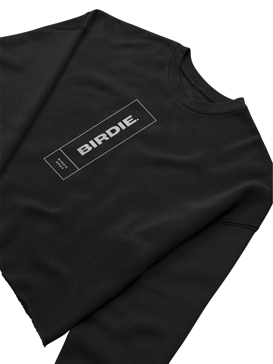 BIRDIE Since 2025 Logo Sweatshirt product image (17)