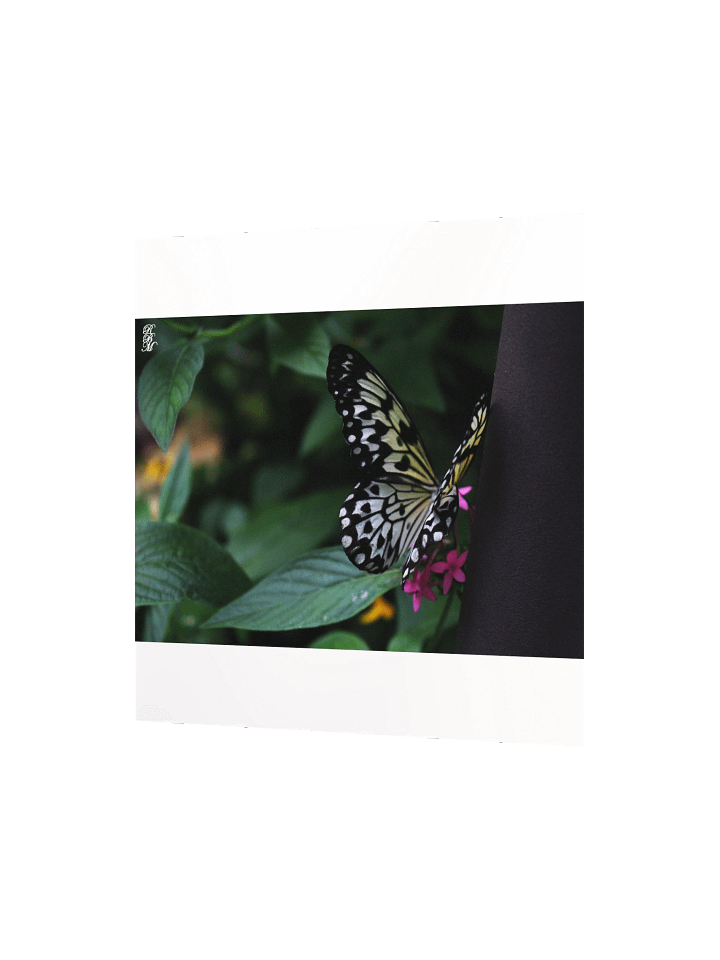 A Yellow Butterfly on Pink Flowers product image (4)