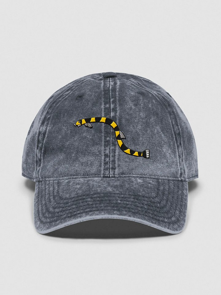 Kuhli Loach Vintage Wash Dad Hat product image (15)