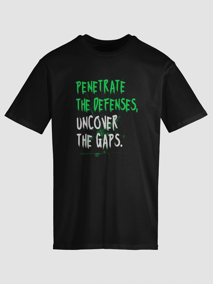 🛡️ Penetrate the Defenses, Uncover the Gaps product image (5)