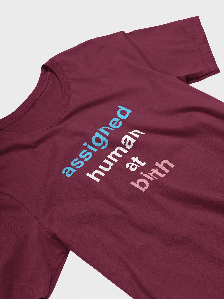 Assigned Human At Birth Trans T-Shirt product image (3)
