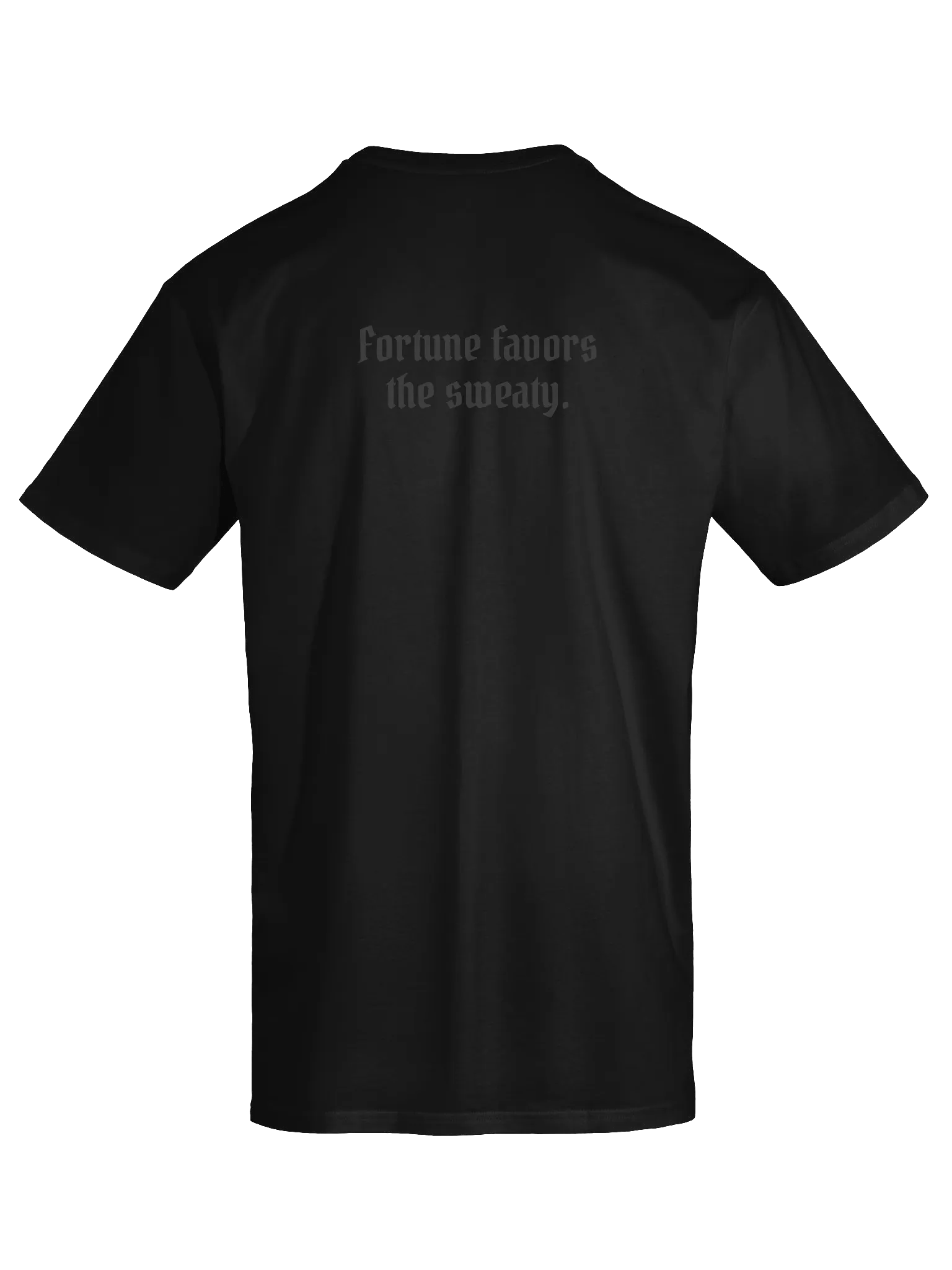 Daily Sweat Unisex Premium T-shirt product image (4)