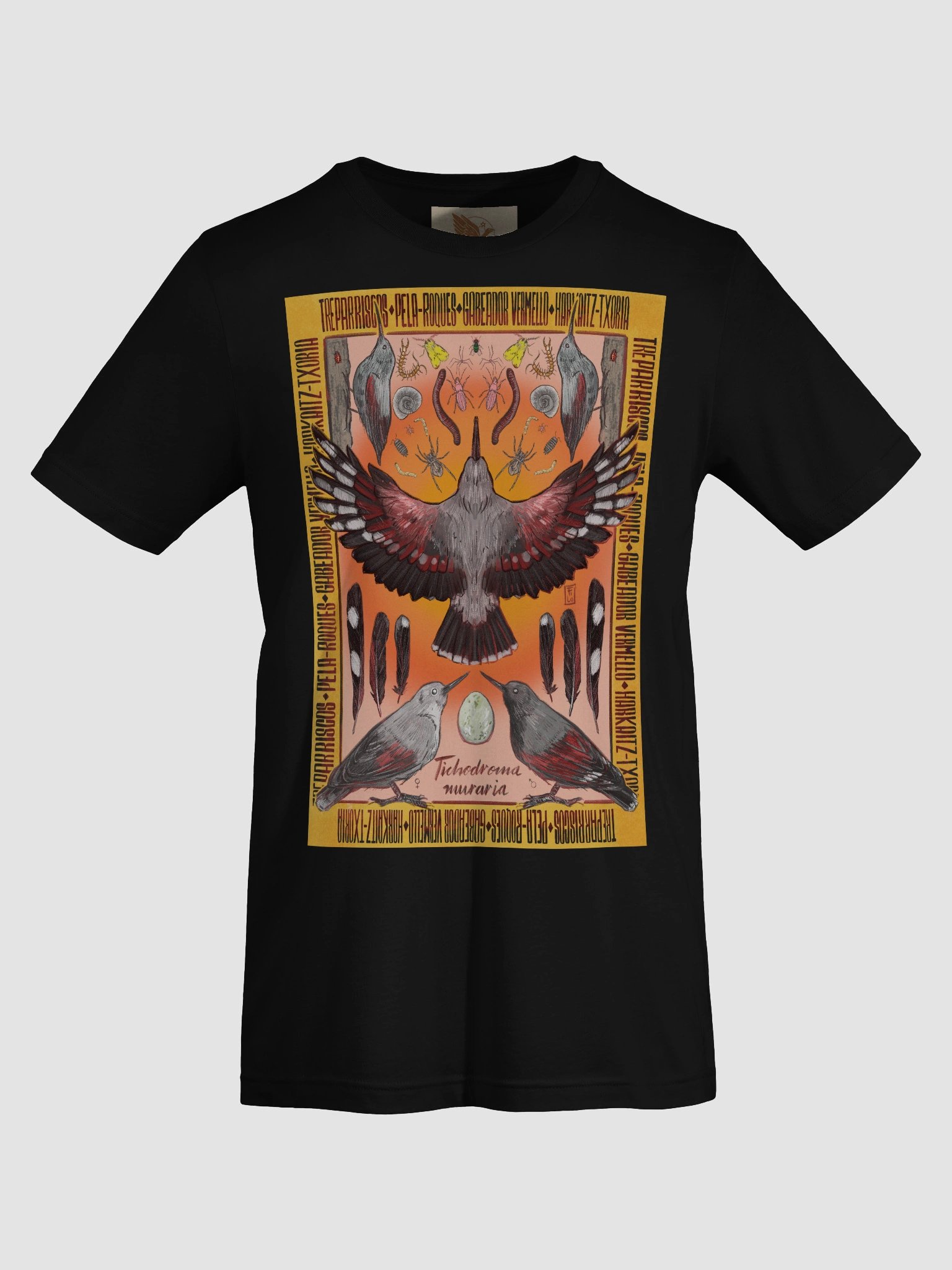 Treparriscos - Wallcreeper product image (7)