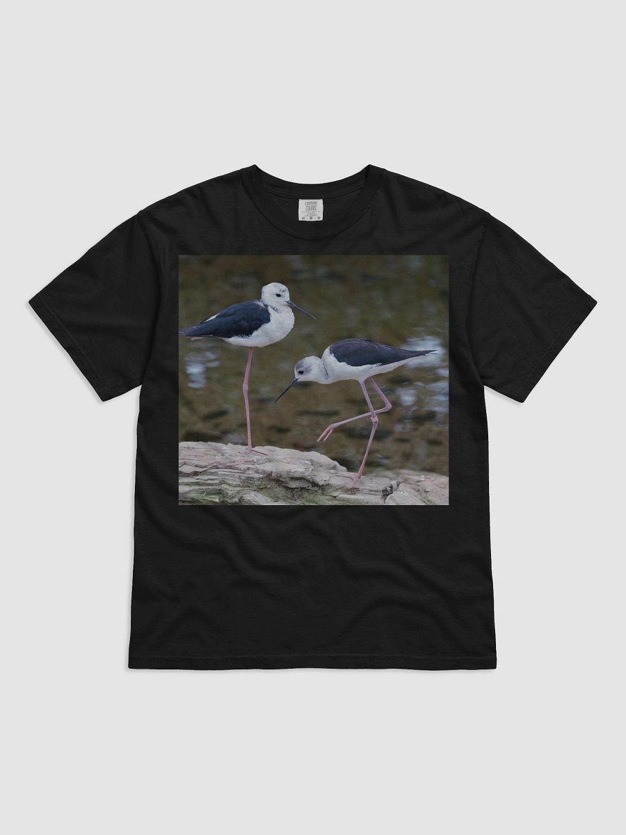 Mystic Shoreline T-Shirt product image (1)