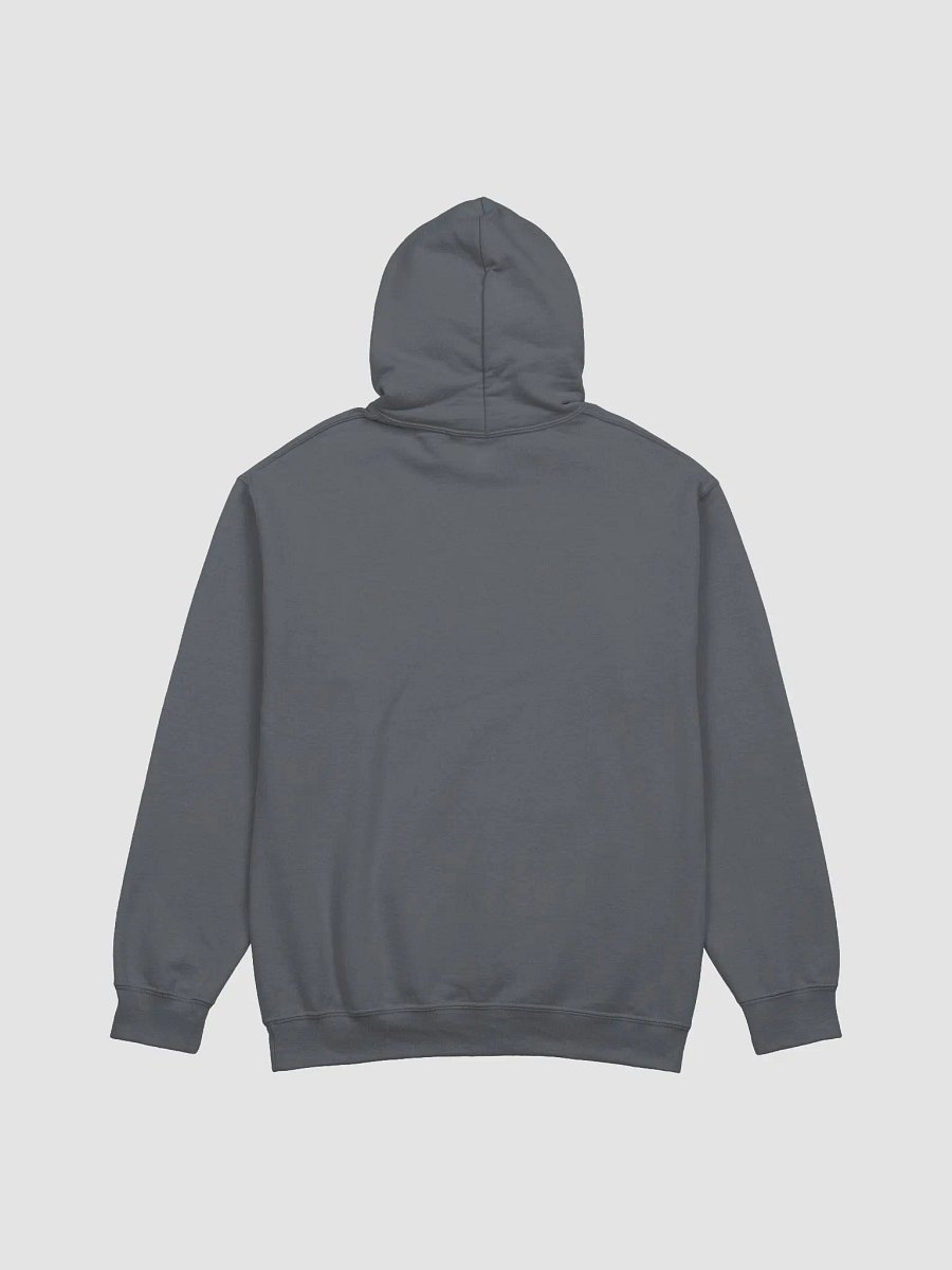 CRAZZIEMOM LEP HOODIE product image (11)